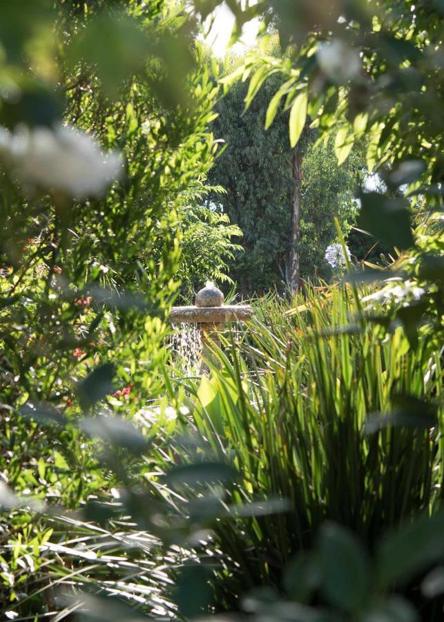 Amohela Guesthouse Midrand Εξωτερικό φωτογραφία